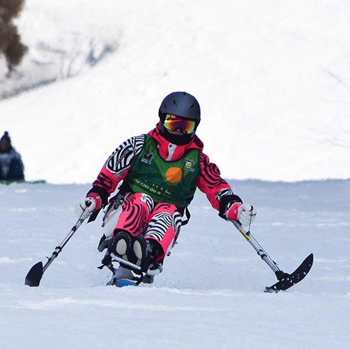 写真　チェアスキー
